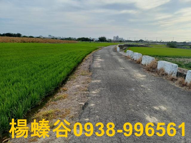 台南新營農地-7