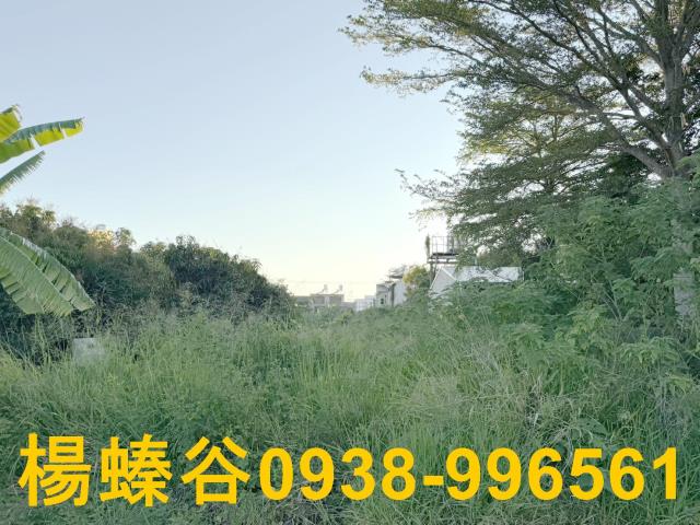 台南善化工業地-0