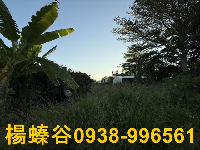 台南善化工業地-3